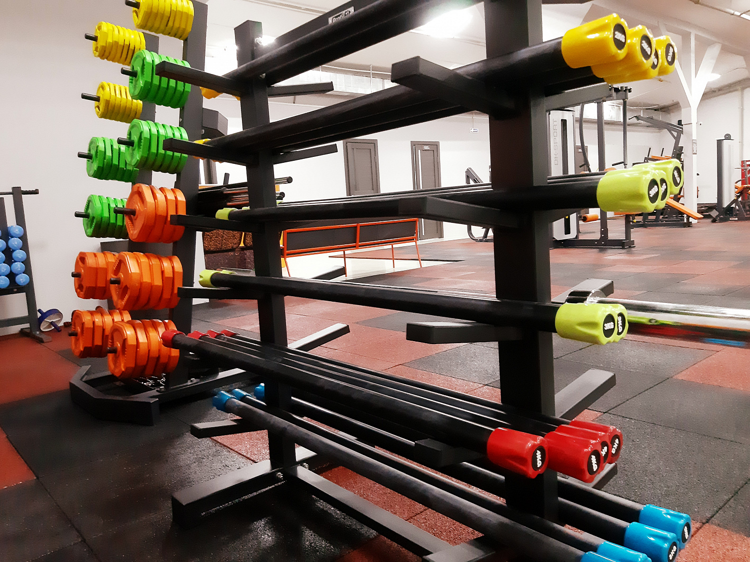 Фитнес-клуб "БЕЛКА GYM"